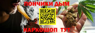 гидропоника Анжеро-Судженск