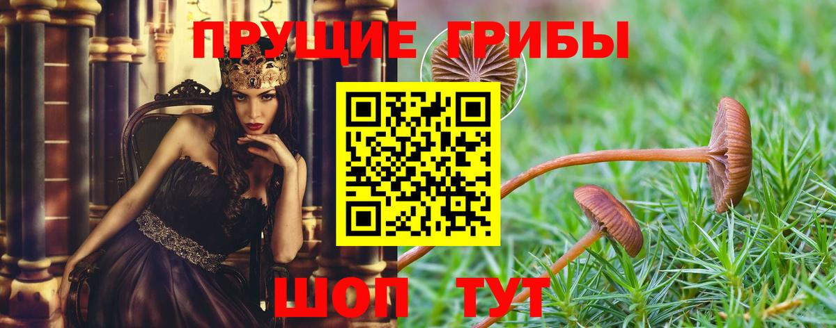 Галлюциногенные грибы мицелий Ахтубинск